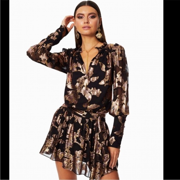 Ramy Brook Dresses & Skirts - Ramy Brook Jayda dress size XS black gold silk